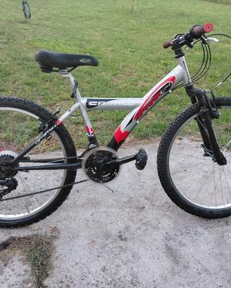 Bici Mountain bambini raggio 24
