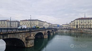 MULTILOCALE A TORINO