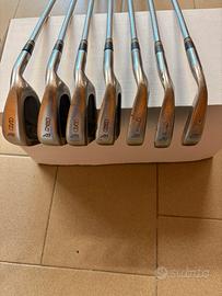 Ferri Mizuno Astron Gen2 acciaio (no 4-5)