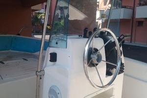 Barca a motore