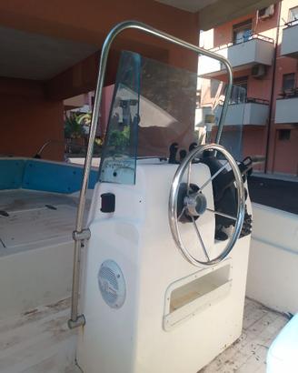 Barca a motore