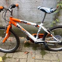 Bicicletta bambinl