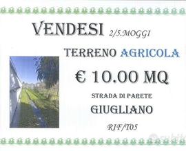 Terreno agricolo 2,5 moggi strada Parete/Giugliano