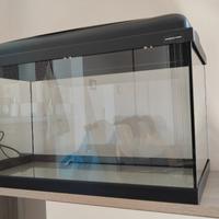 Acquario da 60 litri