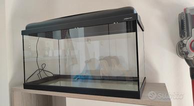 Acquario da 60 litri