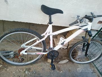 Bicicletta da restaurare