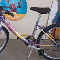 Due bici Montain bike