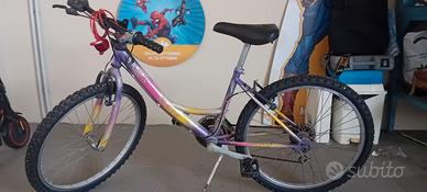 Due bici Montain bike