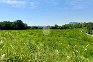 TER. AGRICOLO A CAPRINO VERONESE
