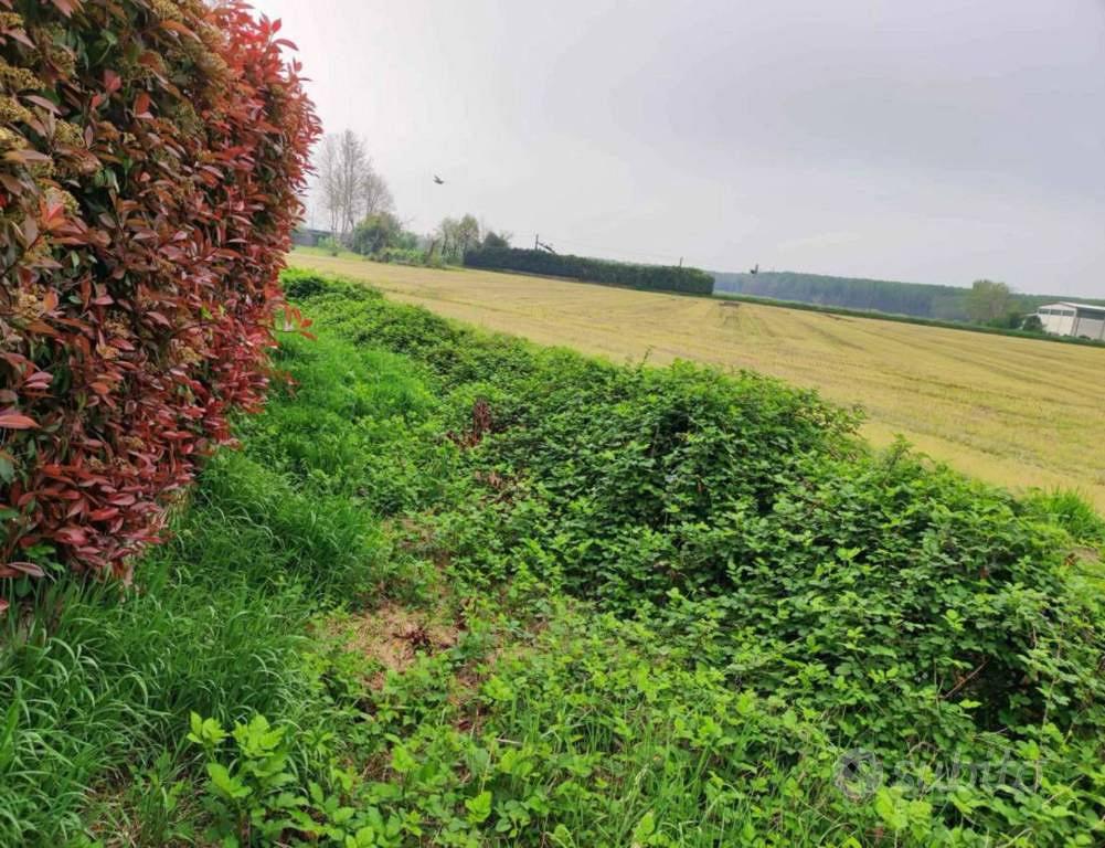 Immobile in asta di 7027 m² a Vellezzo Bellini - Vista 3