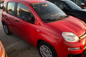Fiat Panda 1.2 2020