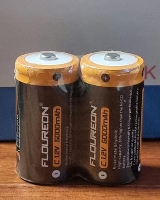 2 Batterie ricaricabili tipo C 1.2V 5000mAh