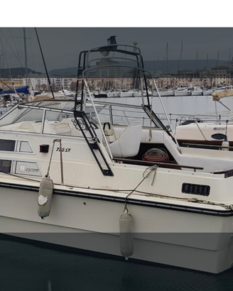 Barca a motore