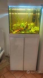 Acquario Acquatlantis 120