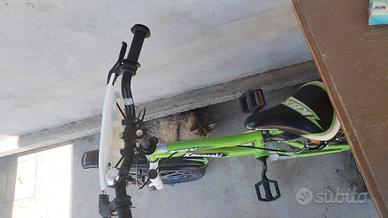 bici x bambini