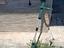 Immagine 1