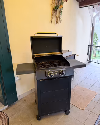 Barbecue elettrico Enders eCrave 2