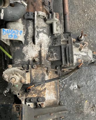 CAMBIO Fiat DUCATO 1990 1.9 D