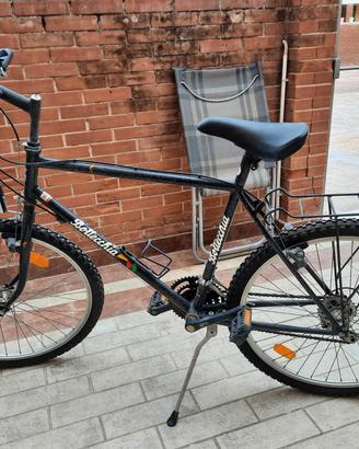 bicicletta uomo bottecchia wild panda con marce
