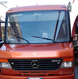 Mercedes Vario