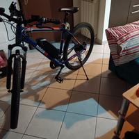 Bici elettrica