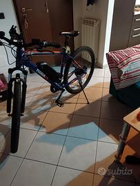 Bici elettrica