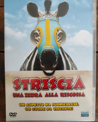 DVD - Striscia, una zebra alla riscossa - e altri