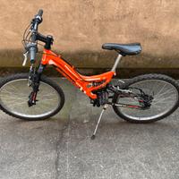 Bicicletta