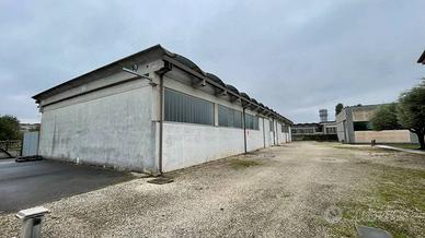 Immobile di 622 m² a Casaleone