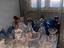 Immagine 3