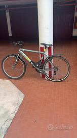 3 bici