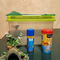 Acquario per pesci o tartarughe con accessori