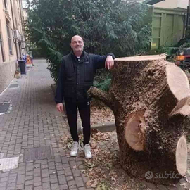 Magazziniere, Autista patente B