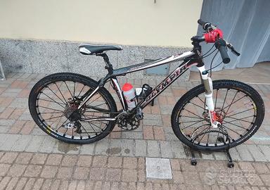 Bici in carbonio