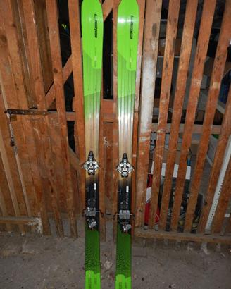 dynafit radical elan alaska pro sci alpinismo