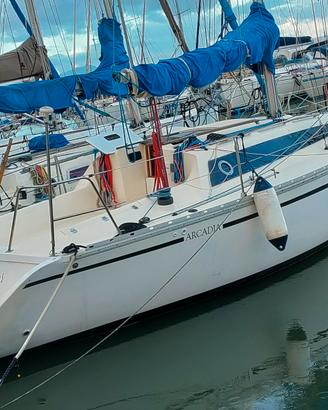 Barca vela 30 piedi