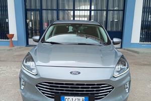 Ford Kuga 1.5 EcoBlue 120 CV 2WD Titanium Business