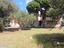 Immagine 13