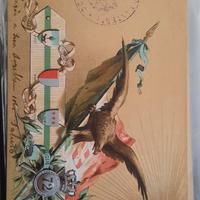 cartolina storica Militare lotto 479