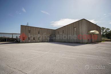 Capannone Industriale Spigno Saturnia