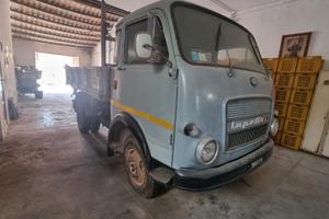camion Lupetto 30