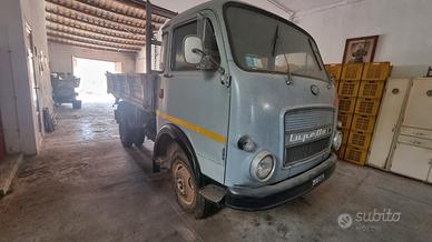 camion Lupetto 30