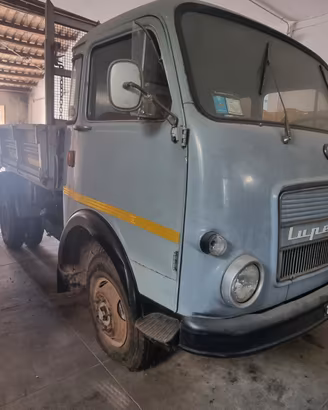 camion Lupetto 30