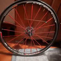 Cerchioni FULCRUM RACING con sacche porta ruote.