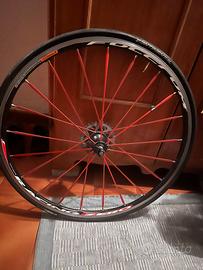 Cerchioni FULCRUM RACING con sacche porta ruote.