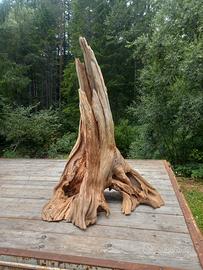 tronco legno