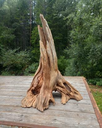 tronco legno