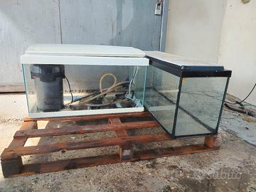 acquario e terrario