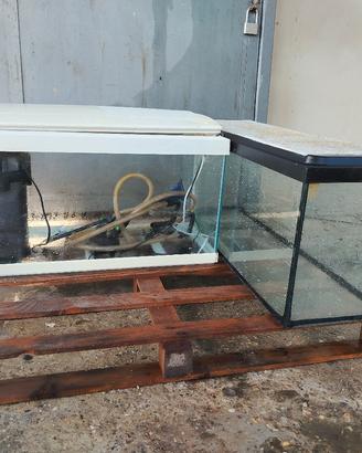 acquario e terrario