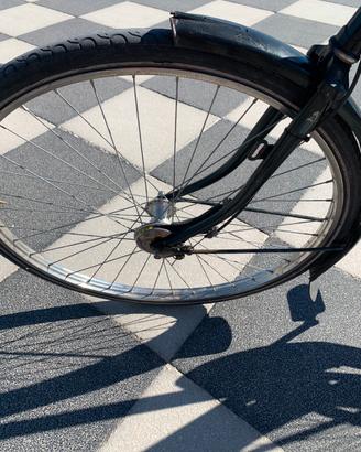 Bicicletta da uomo